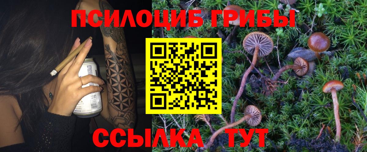 Похвистнево  Галлюциногенные грибы GOLDEN TEACHER  Вход с VPN 